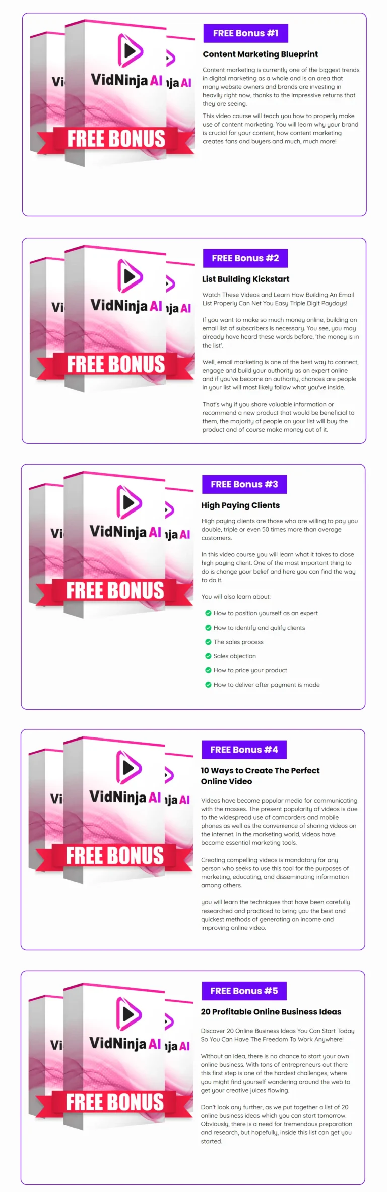 VidNinja AI Review