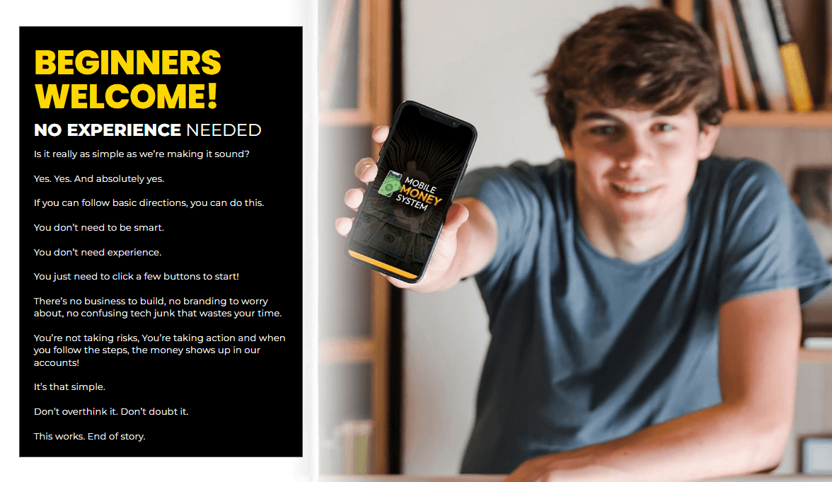 Mobile Money System Review